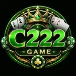 C222 Game