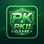 PK11 Game